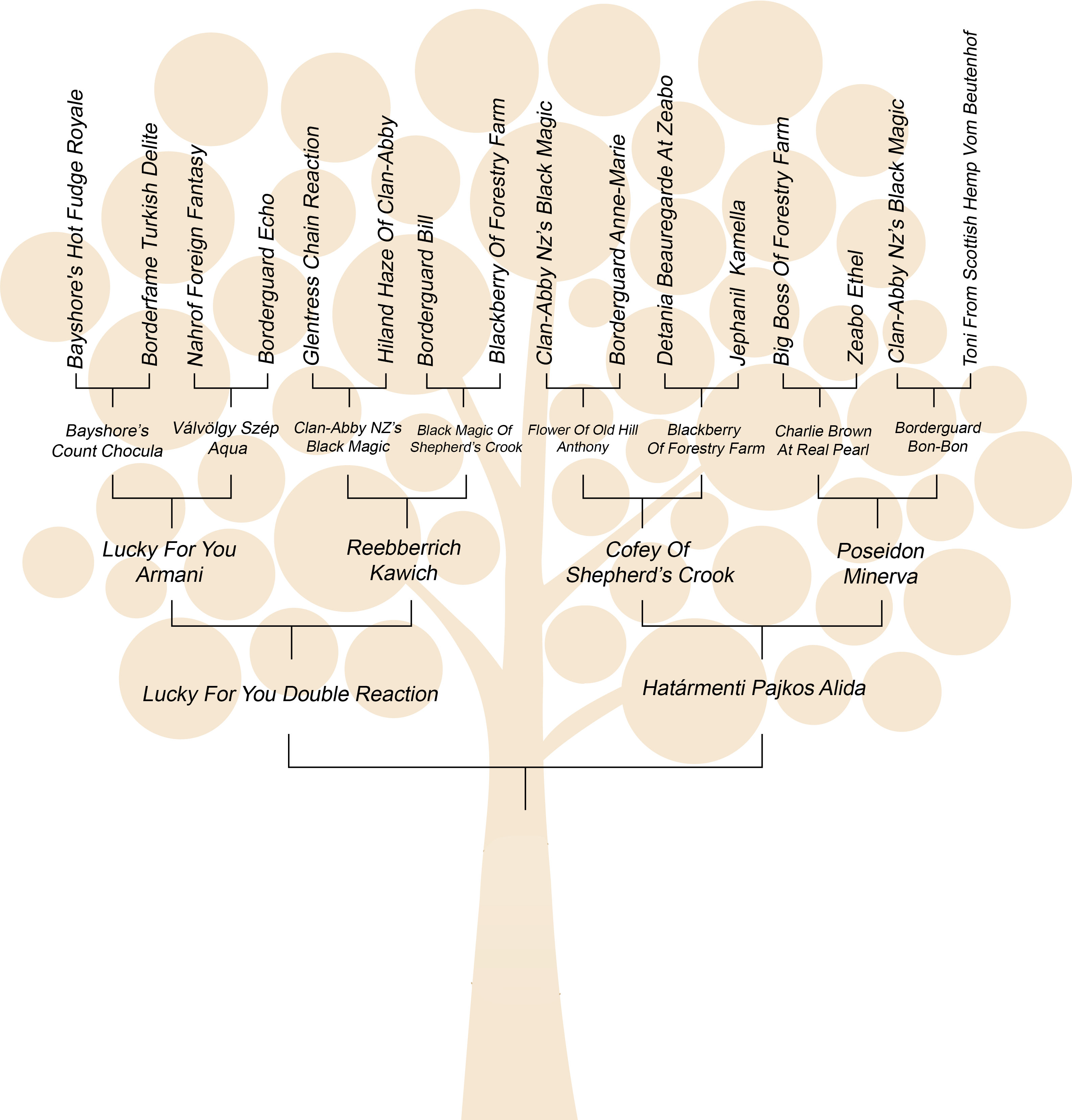 Family Tree