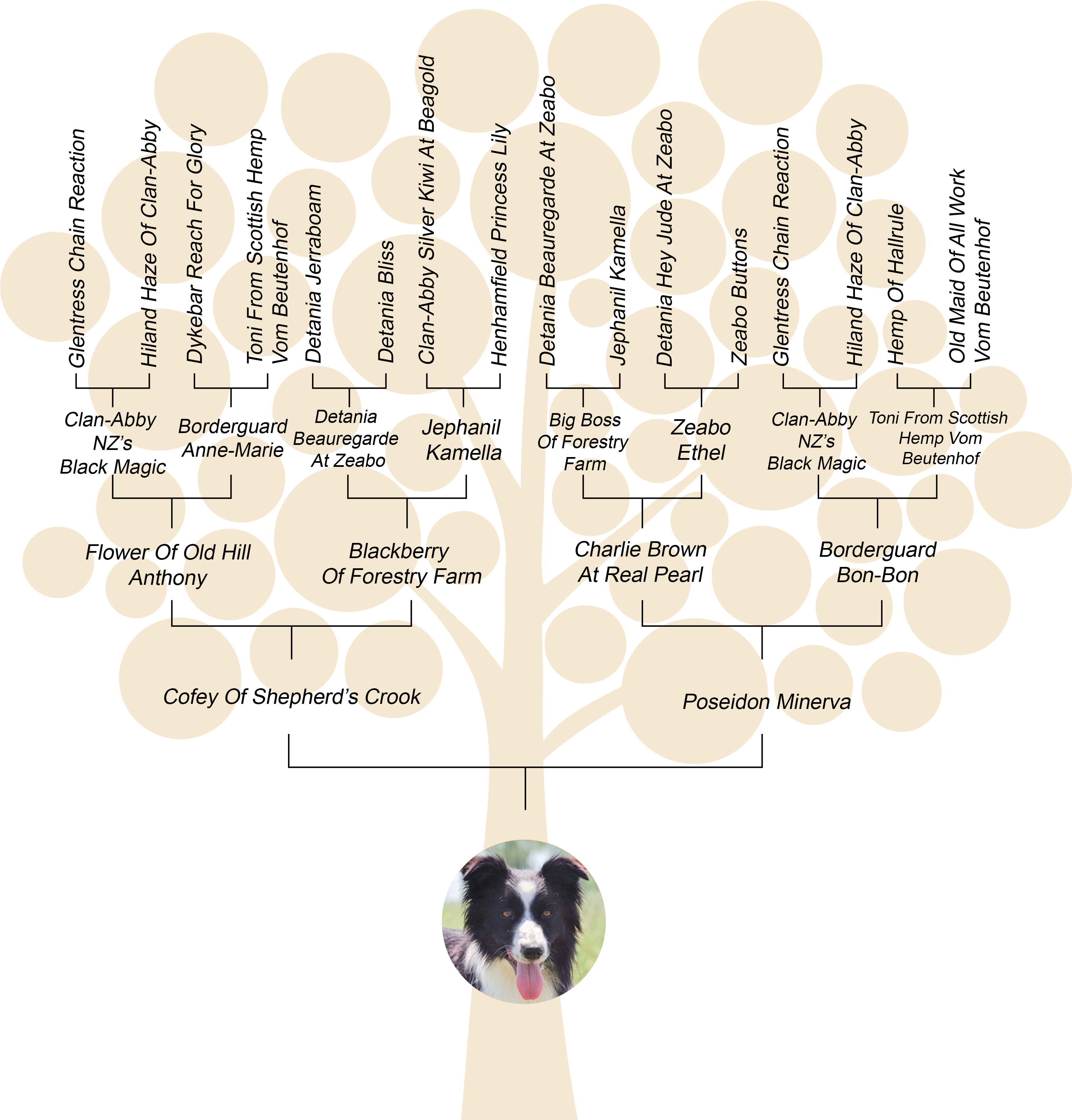 Family Tree