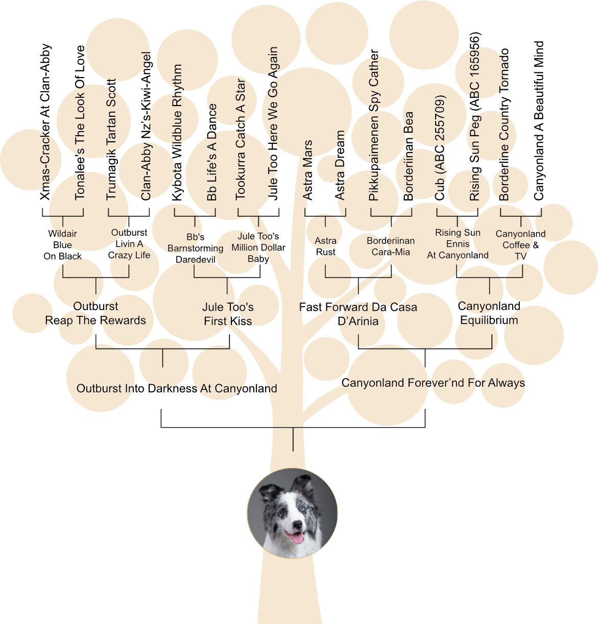 Family Tree