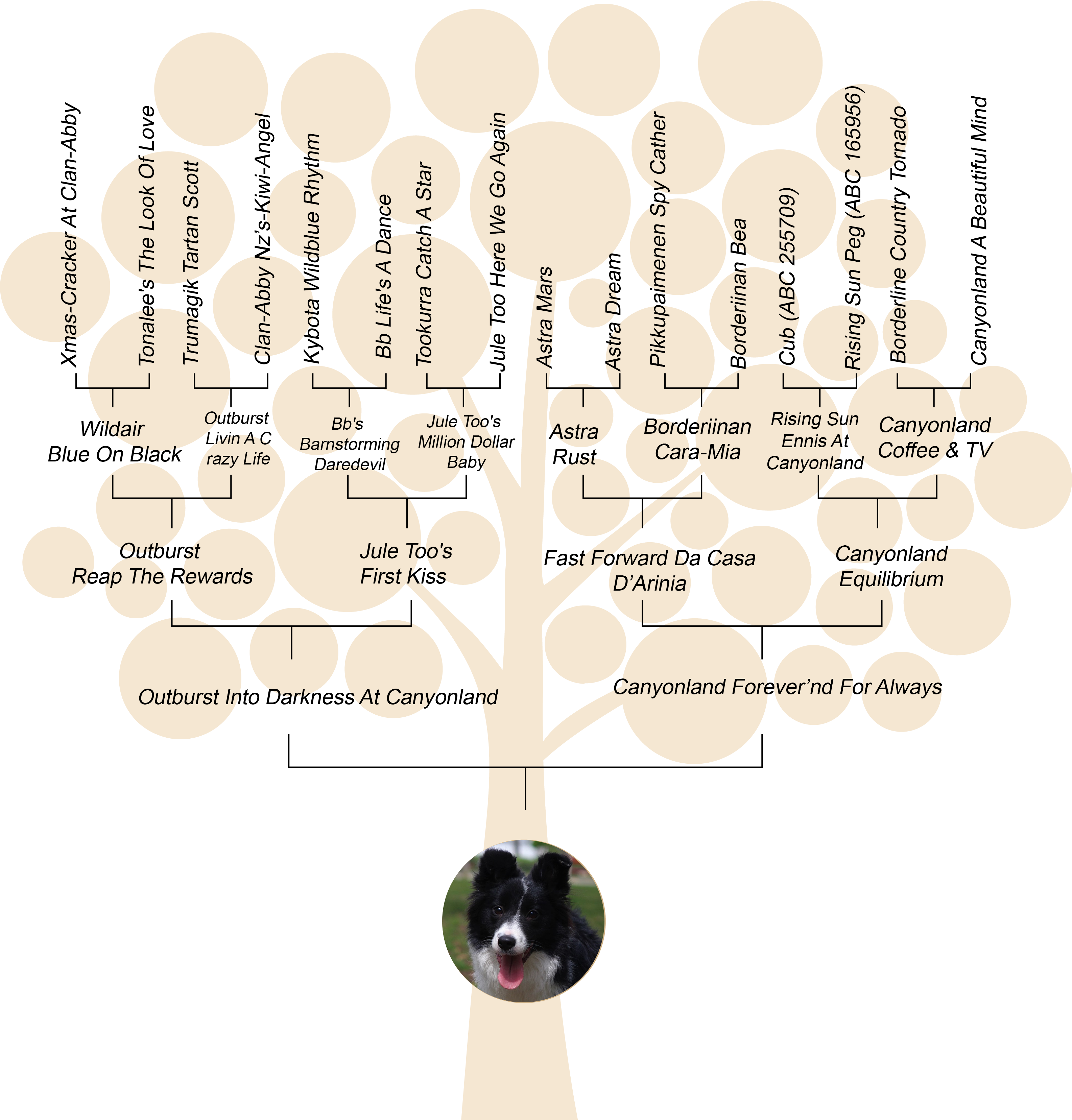 Family Tree