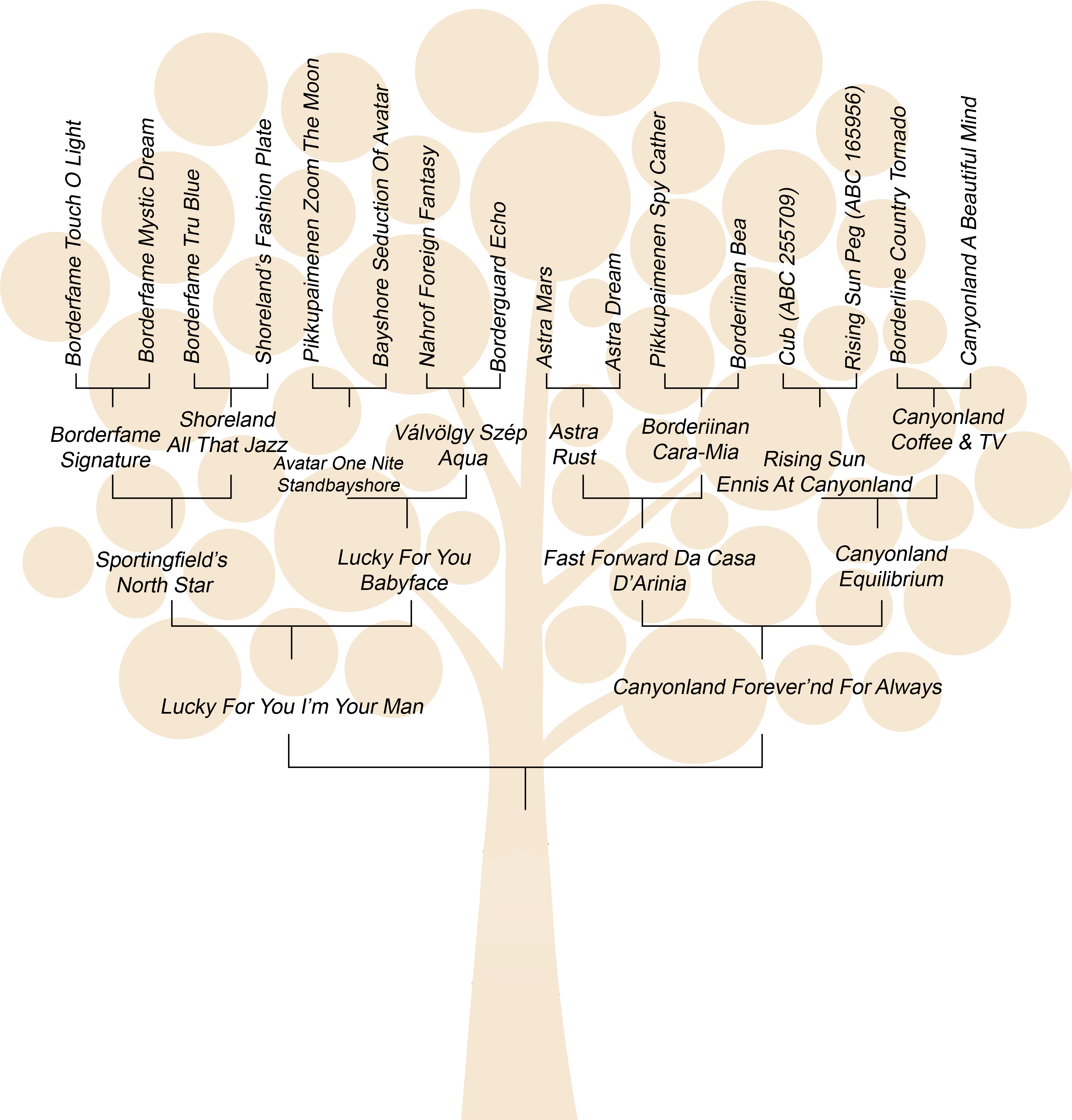 Family Tree