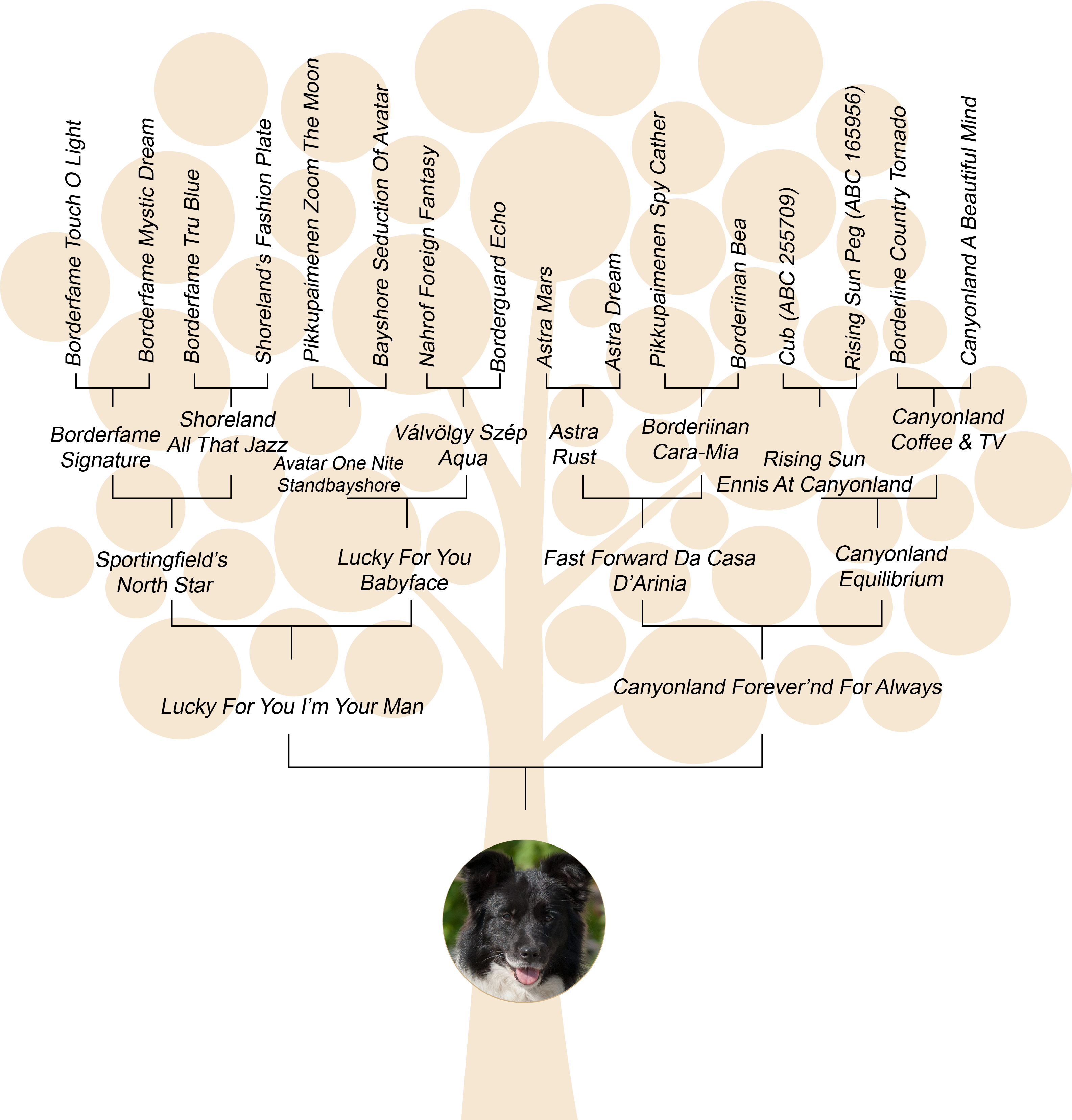 Family Tree